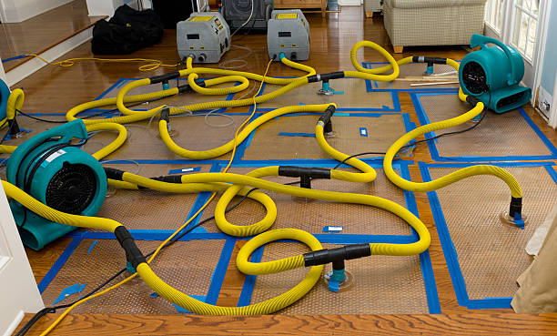 Professional Water Extraction technician working in Utica, NE